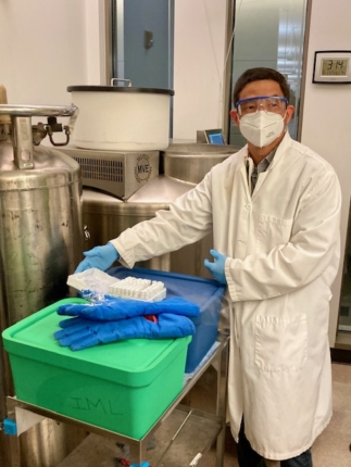 A researcher in the Disis Lab at the Cancer Vaccine Institute at University of Washington Medicine shows research samples.